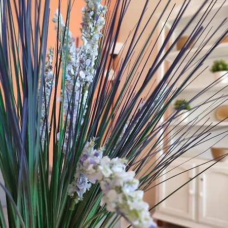 Apartamento 6 De Mayo روندا المظهر الخارجي الصورة